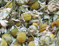 Manzanilla